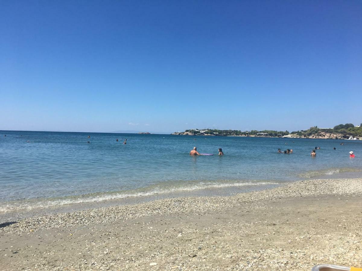 Villa Christina With Private Pool In Saronida, Near Stunning Beaches, Athens Airport & Sounio Exteriör bild