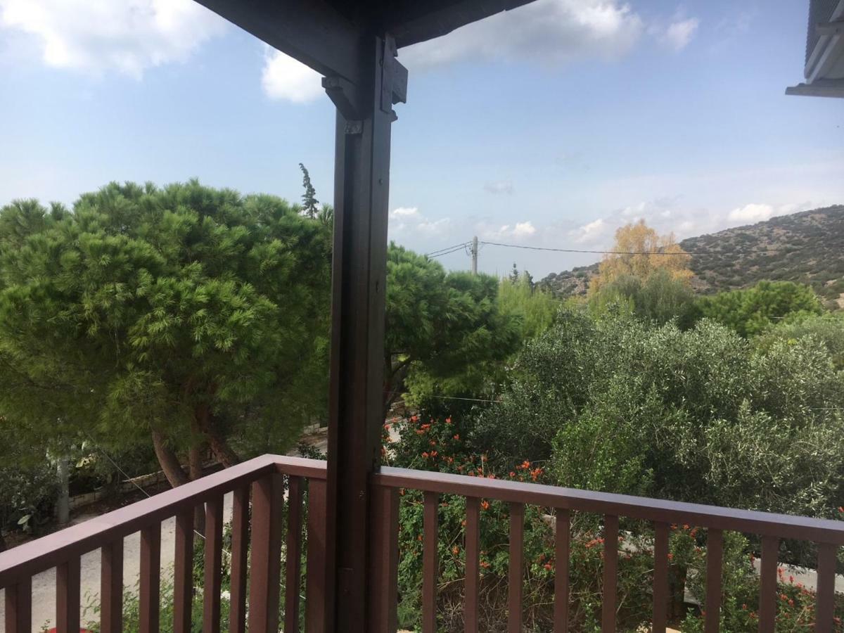 Villa Christina With Private Pool In Saronida, Near Stunning Beaches, Athens Airport & Sounio Exteriör bild